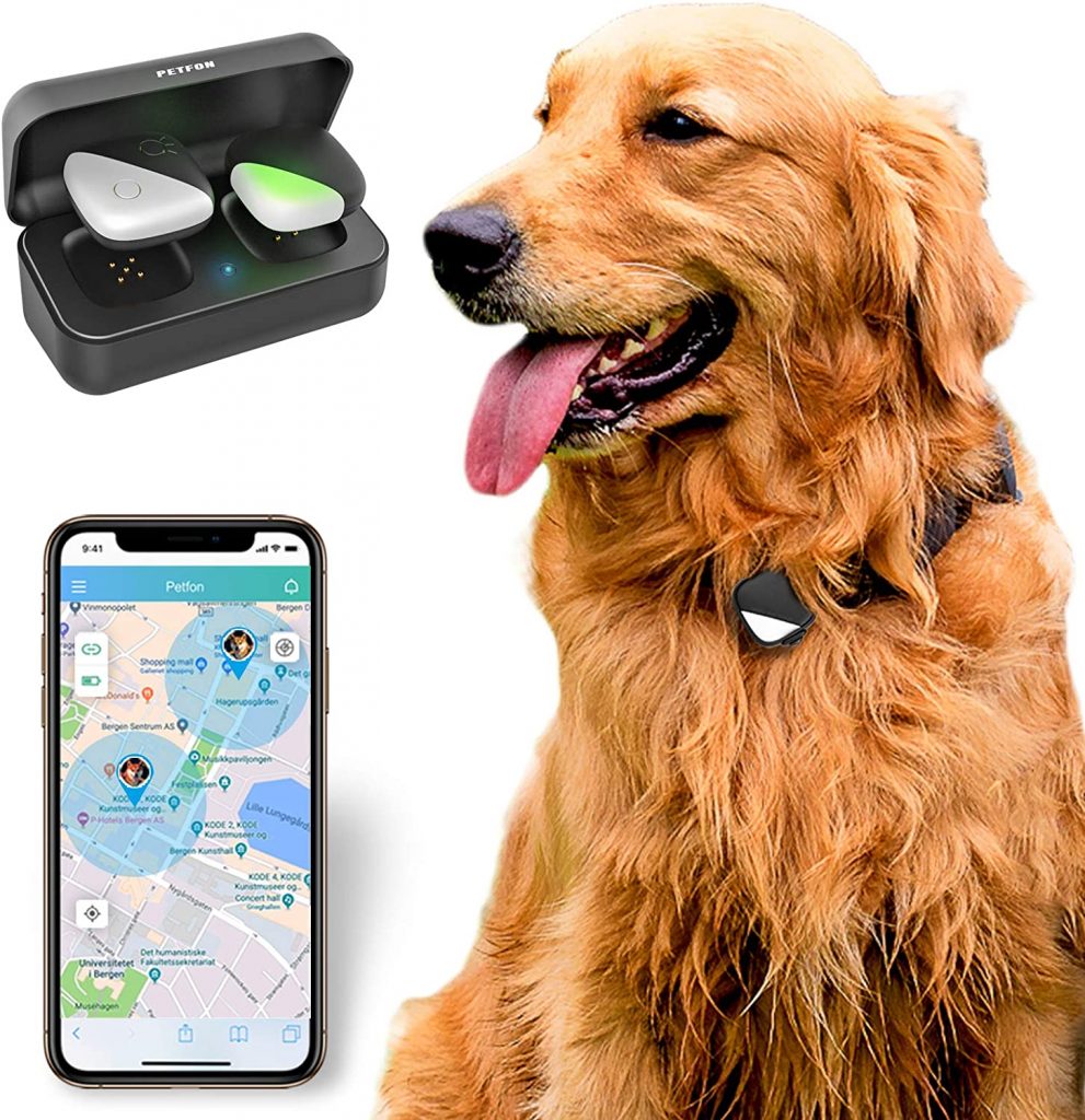 A GPS collar to keep an eye on cat adventures