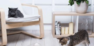 Top 10 innovative objects and toys for your cat YOFUN Smart Interactive Cat Toy