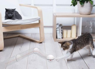 Top 10 innovative objects and toys for your cat YOFUN Smart Interactive Cat Toy