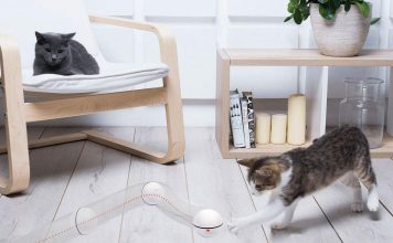 Top 10 innovative objects and toys for your cat YOFUN Smart Interactive Cat Toy