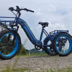 Top 5 Best Electric Tricycles 2025