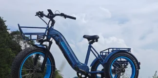 Top 5 Best Electric Tricycles 2025