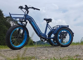Top 5 Best Electric Tricycles 2025
