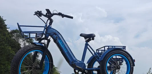 Top 5 Best Electric Tricycles 2025
